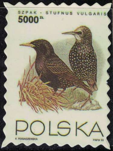 Pologne Timbre Fictif Autocollant Oiseau Sturnus Vulgaris Étourneau sansonnet Scrapbooking