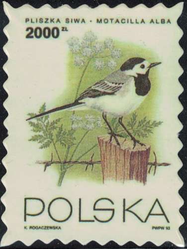 Pologne Timbre Fictif Autocollant Oiseau Motacilla Alba Bergeronnette grise Scrapbooking
