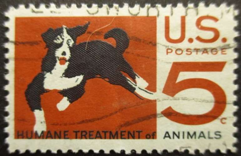 USA N°802 Chien oblitéré