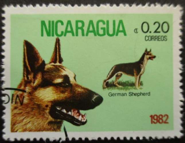 NICARAGUA N°1190 Berger Allemand oblitéré