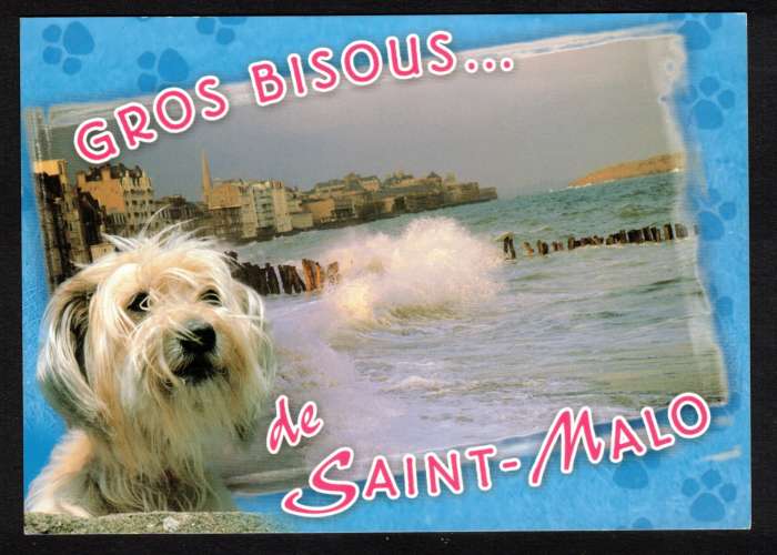 Cpm  France Gros bisous de Saint-Malo coup de vent sur le sillon - chien