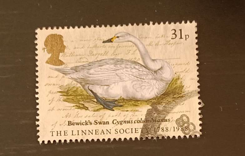 GB 1988 Linnean Society 31p YT 1295 / SG 1382