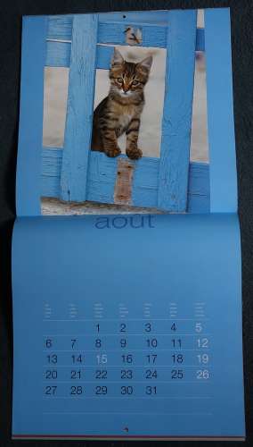 Calendrier 2007 Chats du Sud