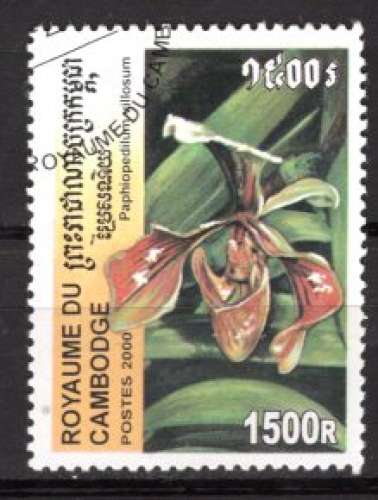 CAMBODGE 2000 FLEUR  LES ORCHIDEES OBLITERE