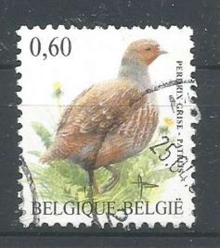 Belgique 2005 - YT n° 3365 - Perdrix rose