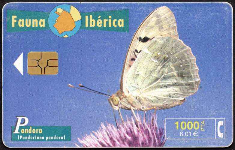 437/356 - Télécarte 1000 PTA - 09/99 - Papillon