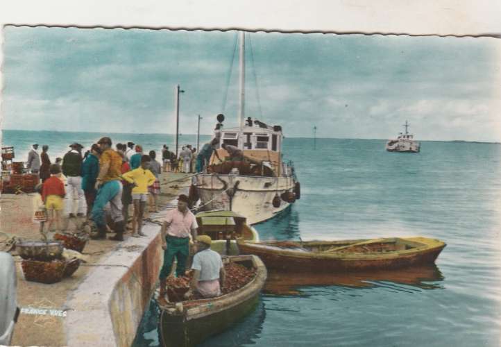 cpsm 17 Fouras arrivée des bateaux de pêches