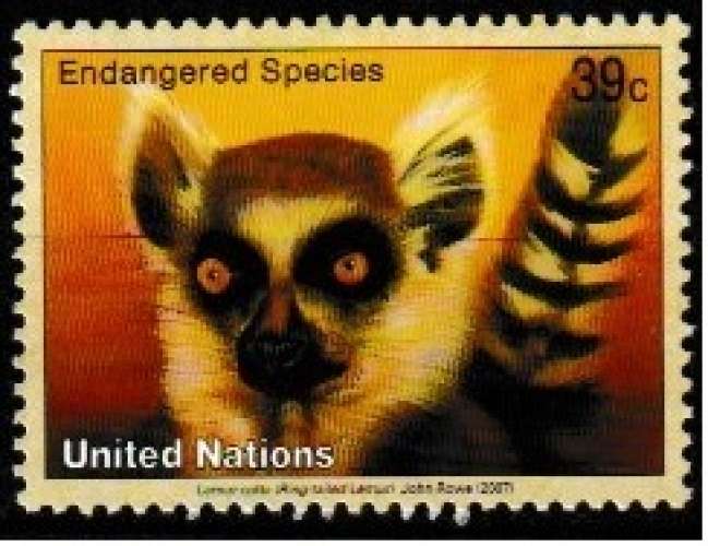 Nations Unies New York 2007 YT 1026 MNH Lemur catta