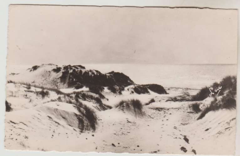 cpsm 80 Quend-Plage  les dunes et la Mer ( daguin )