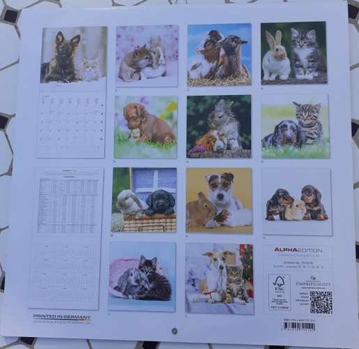 Calendrier mural 2019 - Animaux de compagnie