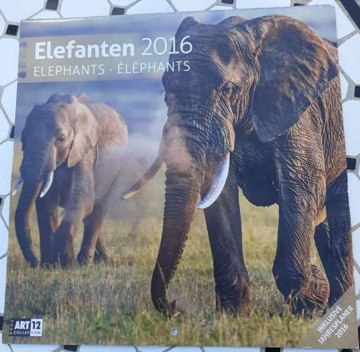 Calendrier mural 2016 - Elephants