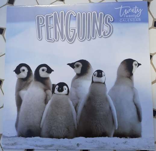 Calendrier mural 2020 - Pingouins