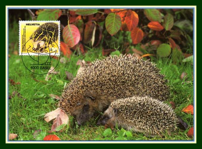 Suisse Carte Maximum HERISSON 2004 