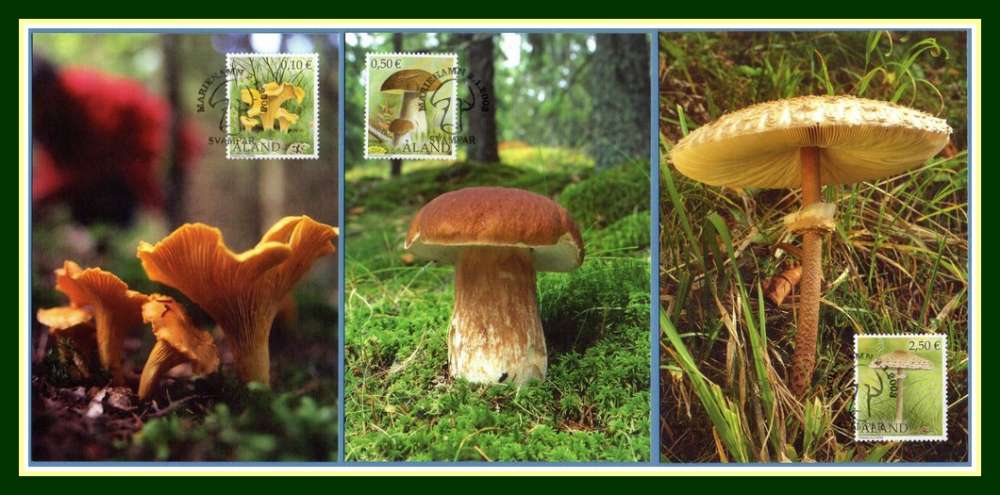 Aland Cartes Maximum CHAMPIGNON 2003 série complète