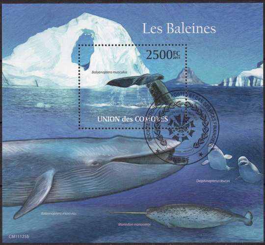 BF52 - Y&T n° 317 - oblitéré - Baleine bleue - 2011 - Comores