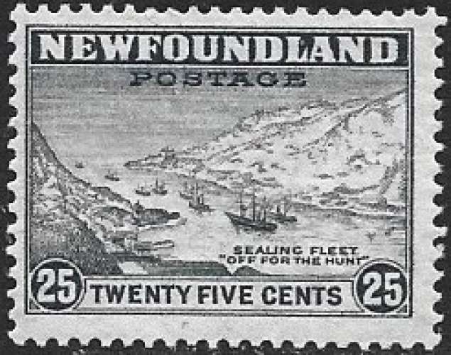 Terre Neuve - Y&T 184 ** - MNH