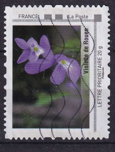 Violette de Rouen oblitéré