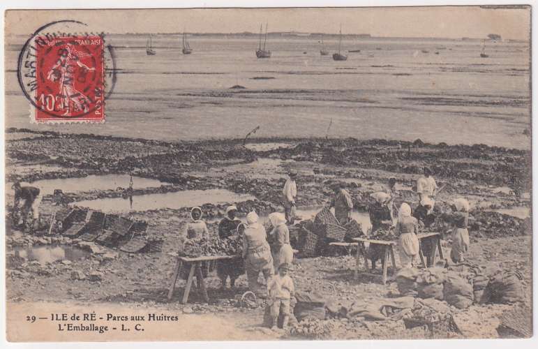 CPA Ile de Ré Parcs aux huitres, l'emballage - circulée en 1908
