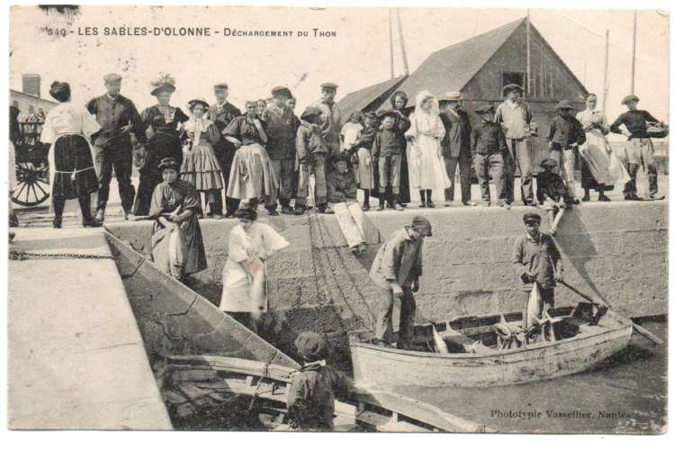 Cpa 85 Les Sables-d'Olonne Déchargement du Thon