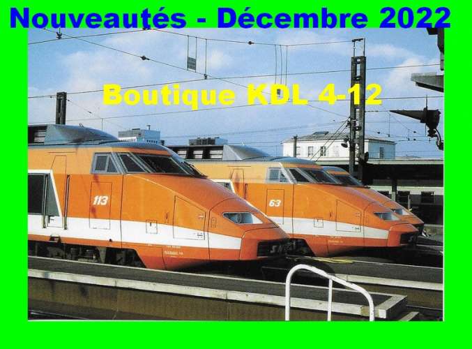RU 2032 - TGV PSE rame 113 et 63 en gare - PARIS-LYON - SNCF