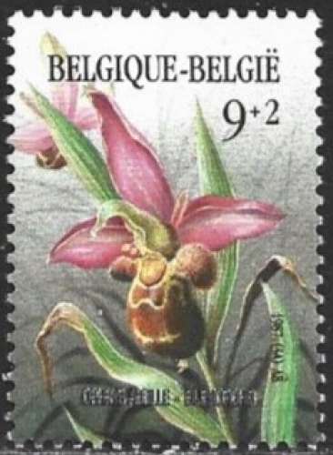 Belgique - 1987 - Y&T 2244 ** - MNH