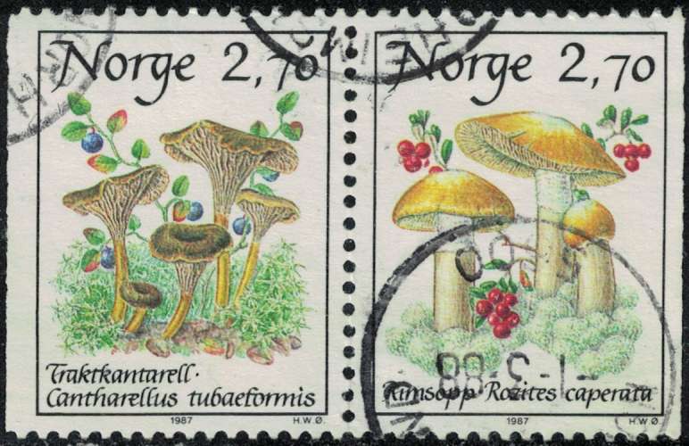 Norvège 1987 Se-tenant Champignons Cantharellus Tubaeformis et Rozites Caperata Y&T NO 924A SU