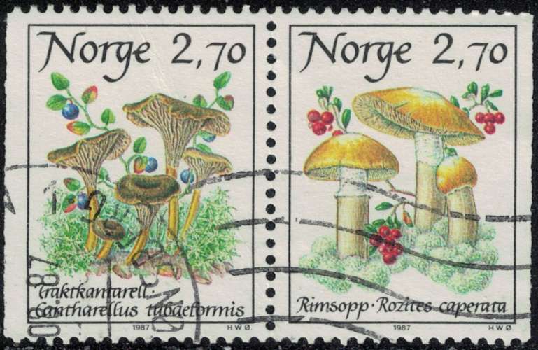 Norvège 1987 Se-tenant Champignons Cantharellus Tubaeformis et Rozites Caperata Y&T NO 924A SU