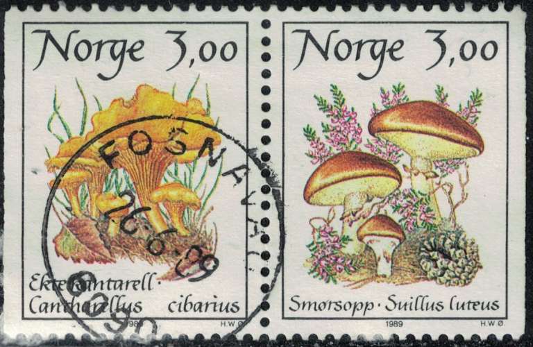 Norvège 1989 Oblitéré Se-tenant Champignons Cantharellus Cibarius et Suillus Luteus Y&T NO 966A SU