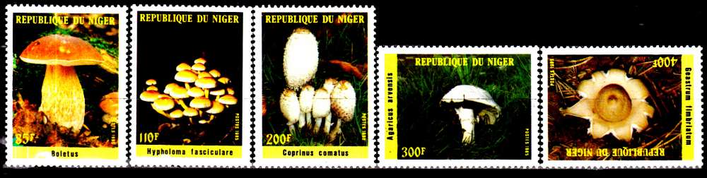 Niger 692 / 96 Champignons