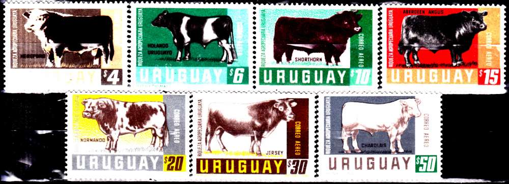 Uruguay 284 / 90 Richesses bovines nationales