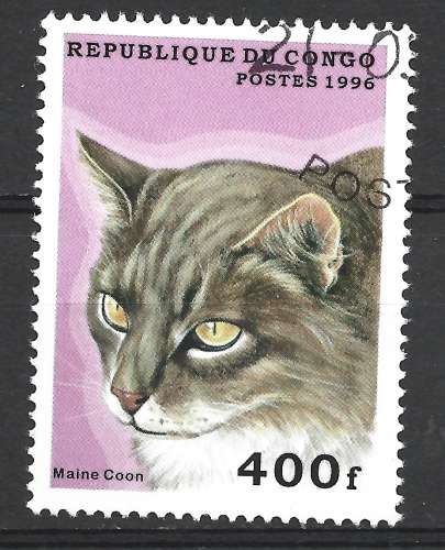 Congo 1996 - Y & T : 1022E   - Chat domestique