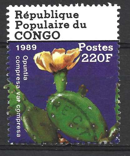 Congo 1989 - Y & T :     - Cactus