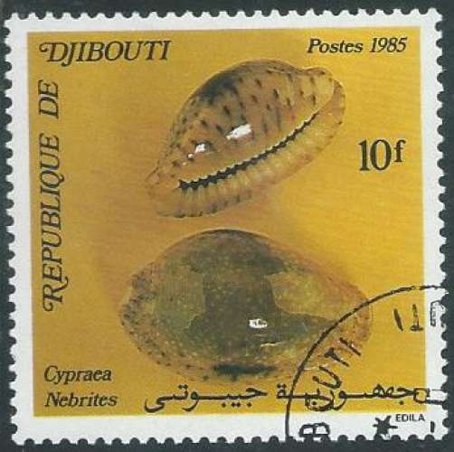 Djibouti - Y&T 0609 (o) - Coquillage -