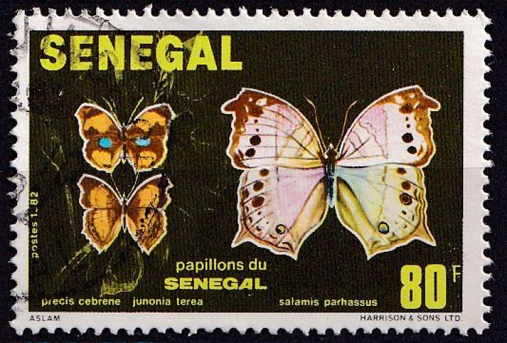 Sénégal 1982 Y&T 569 oblitéré - Papillons 