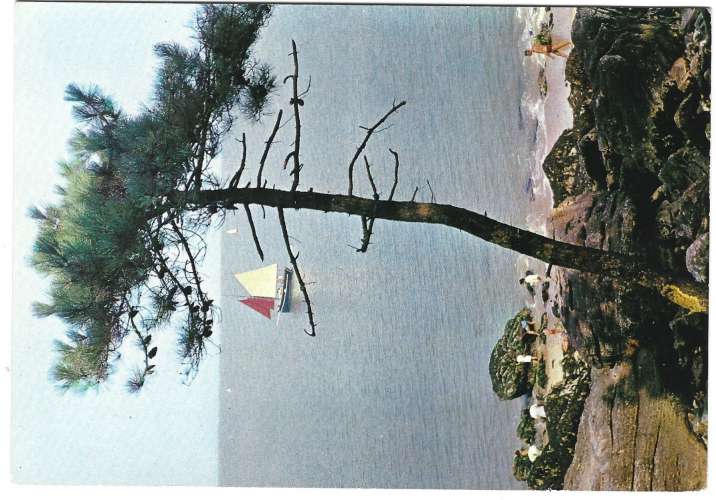 Noirmoutier le bois plage