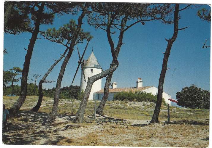 Noirmoutier le moulin