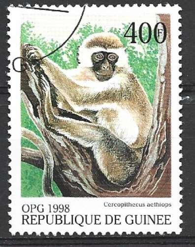 RÉPUBLIQUE DE GUINÉE - 1998 - Y & T :1255X - Singe