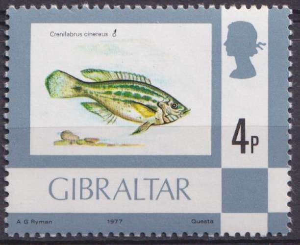Gibraltar 1977 Y&T 353 neuf ** - Poissons - Crenilabrus cinereus 
