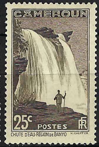 Cameroun - 1939 - Y & T n° 169 - MH