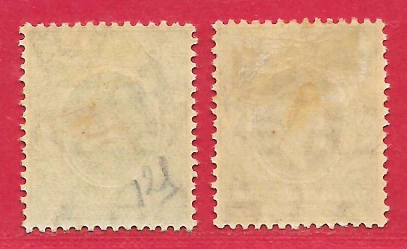 Afrique orientale britannique n°124 1c brun & n°125 3c vert 1907 *