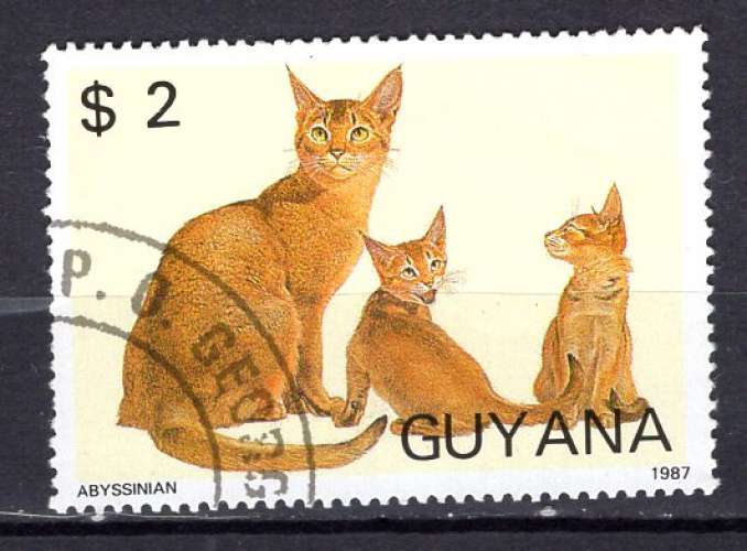 GUYANA 1989 ANIMAUX LES CHATS L'ABYSSINIAN OBLITERE