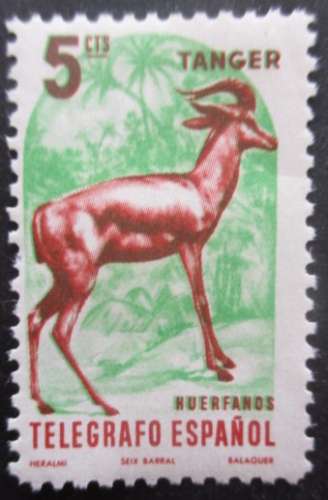MAROC ESPAGNOL Antilope neuf **