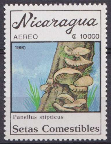 Nicaragua P.A. 1990 Y&T 1317 neuf ** - Champignons 