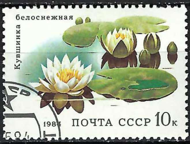 Russie - 1984 - Y & T n° 5098 - O.