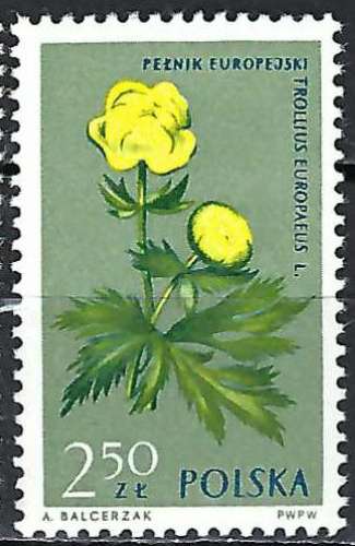 Pologne - 1962 - Y & T n° 1194 - MNH