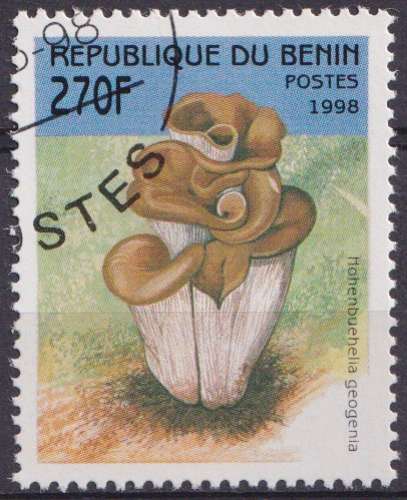 Benin 1998 Y&T 799 oblitéré - Champignons 
