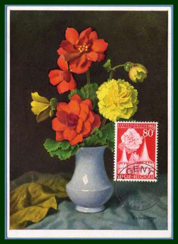Belgique Carte Maximum N° 961 Floralie Gantoise 1955 Fleur Bégonia TB