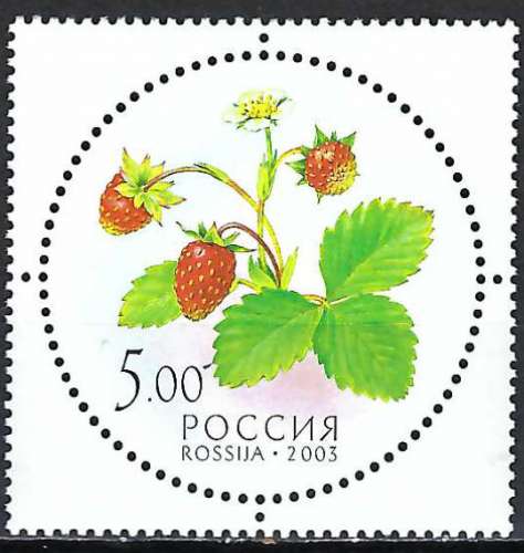 Russie - 2003 - Y & T n° 6750 - MNH
