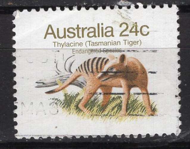 AUSTRALIE 1981 ANIMAUX EN DANGER LE TIGRE DE TASMANIE  OBLITERE