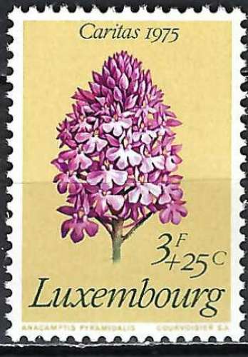 Luxembourg - 1975 - Y & T n° 865 - MNH